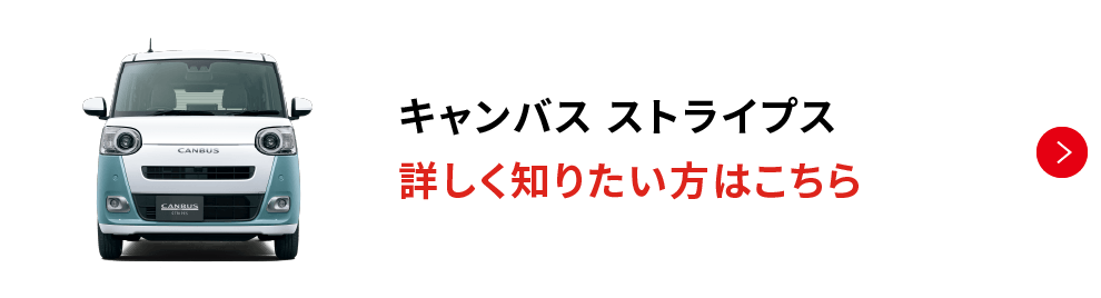 キャンバス ストライプス 詳しく知りたい方はこちら